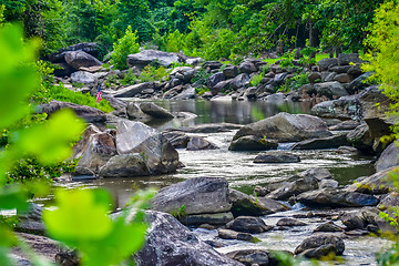 Image showing broad river flowing through wooded forest