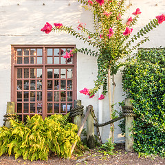 Image showing savannah georgia river street scenery