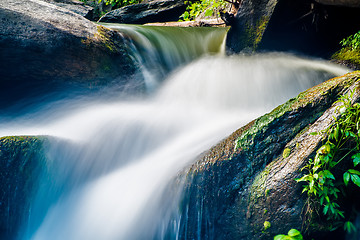 Image showing broad river flowing through wooded forest