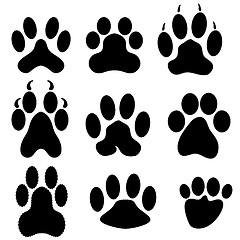 Image showing Paw Prints