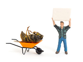 Image showing Dead wasp in a miniature wheelbarrow