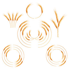 Image showing Creative wheat ears. EPS 10