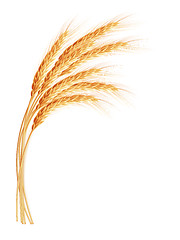 Image showing Wheat ears with space for text. EPS 10