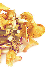 Image showing Raw Chanterelles