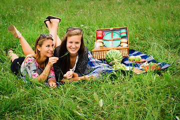 Image showing Best friends having a picnic