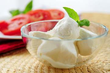 Image showing Bocconcini cheese