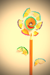 Image showing one pencil flower