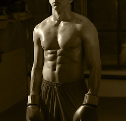 Image showing torso of a boxer