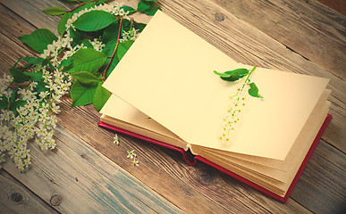 Image showing Blossoming bird-cherry and vintage open album