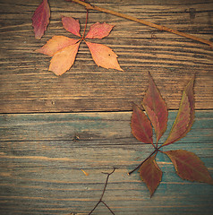 Image showing Autumn still life