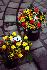 Image showing Flowers on the market