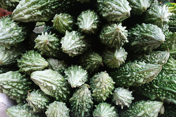 Image showing Pile of bitter melons on market 