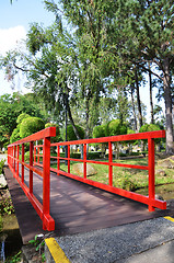 Image showing Red bridge in Chinese Garden