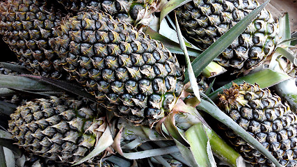 Image showing Pineapples at fruit market.
