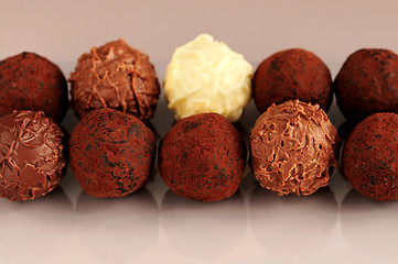 Image showing Chocolate truffles