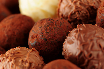 Image showing Chocolate truffles