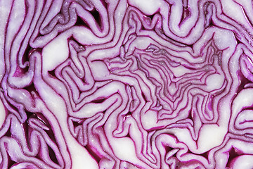 Image showing Red Cabbage