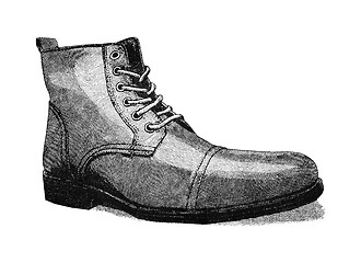 Image showing Shoe