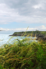 Image showing Atlantic coast in Brittany