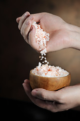 Image showing HImalayan Salt