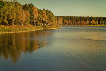 Image showing The autumn wood on the bank of the big beautiful lake