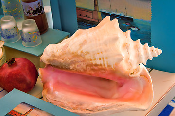 Image showing Still life: sea shell, book, fruit, flowers.