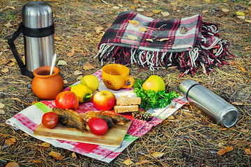 Image showing Products and a picnic blanket in the woods