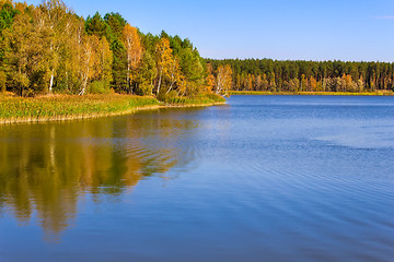 Image showing The autumn wood on the bank of the big beautiful lake
