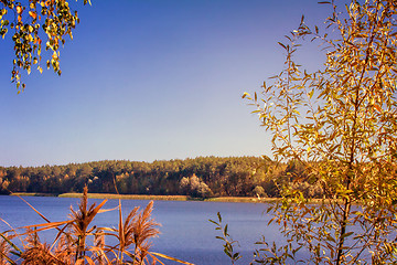 Image showing The autumn wood on the bank of the big beautiful lake