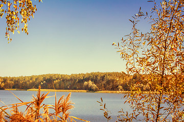 Image showing The autumn wood on the bank of the big beautiful lake