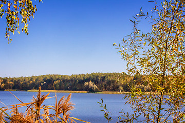 Image showing The autumn wood on the bank of the big beautiful lake