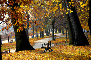 Image showing Autumn park