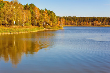 Image showing The autumn wood on the bank of the big beautiful lake