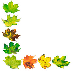 Image showing Letter L composed of multicolor maple leafs