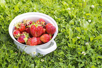 Image showing Natural garden strawberry