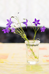 Image showing Bouquet of campanulas in faceted glass