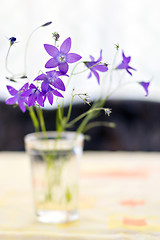 Image showing Bouquet of campanulas