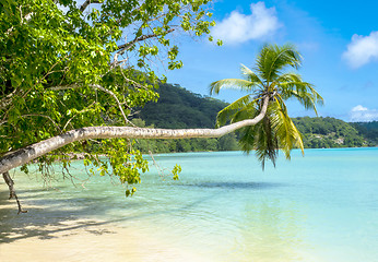 Image showing Beautiful tropical beach in Seychelles