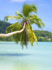 Image showing Beautiful tropical beach in Seychelles