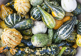 Image showing Close up of autumn harvest