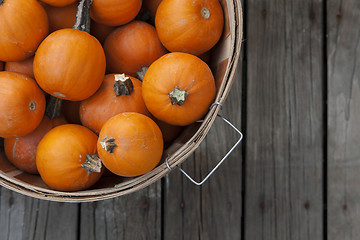 Image showing Baby pumpkins in a basket