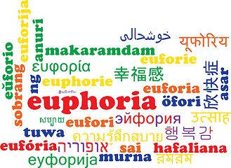 Image showing Euphoria multilanguage wordcloud background concept