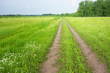 Image showing country road