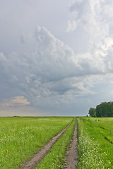 Image showing summer landscape