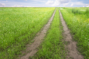 Image showing country road