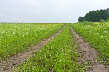 Image showing country road