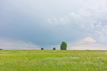 Image showing summer landscape