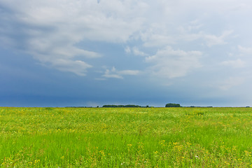 Image showing summer landscape