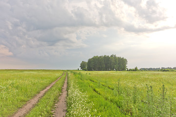 Image showing summer landscape