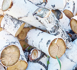 Image showing pile of firewood